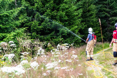 Waldbranduebung-Mauterndorf-27.07.2024-77