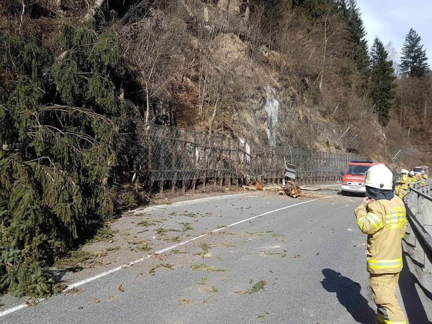 Umgestürzte Bäume auf der B311