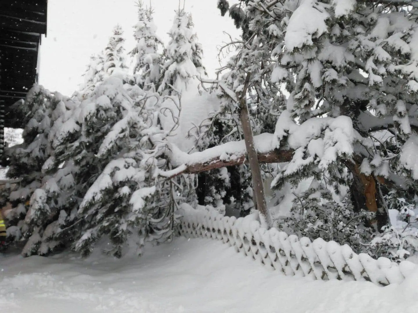 UNWETTER: SCHNEE-EREIGNISSE 11. JÄNNER